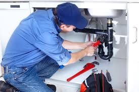 Best Commercial Plumbing Services  in Bath, MI